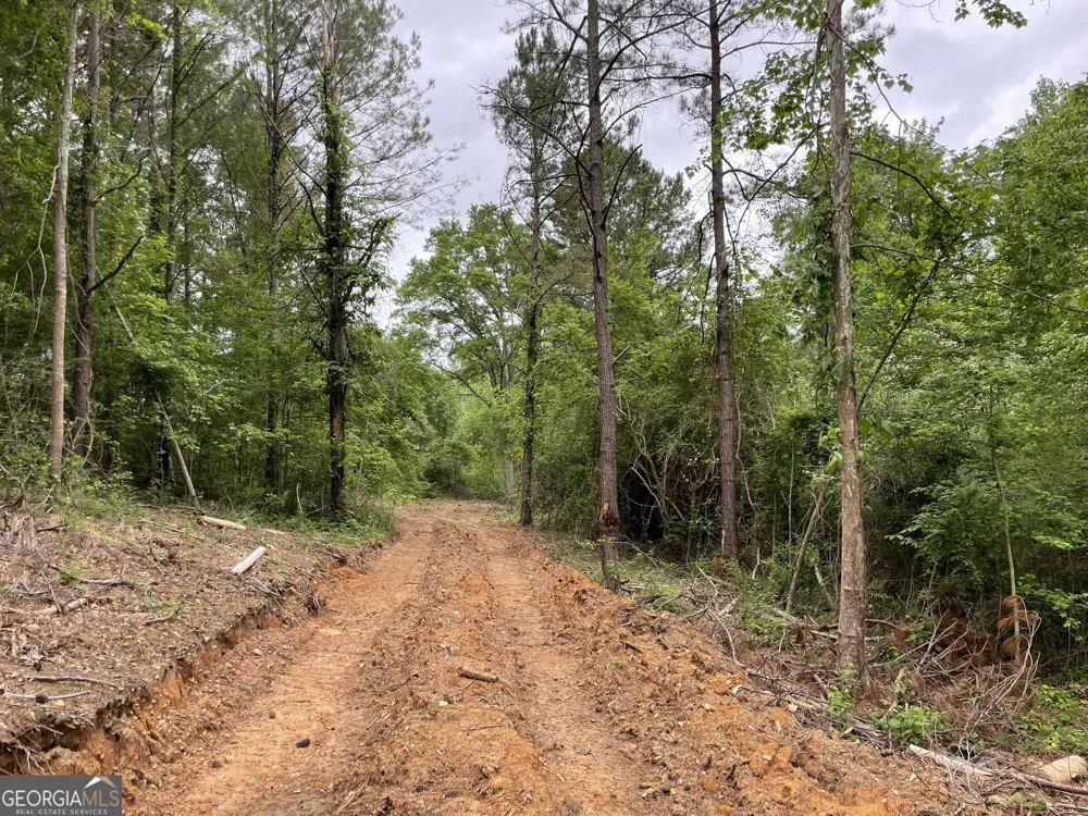 216 Mcmichen RD Dallas, GA 30157