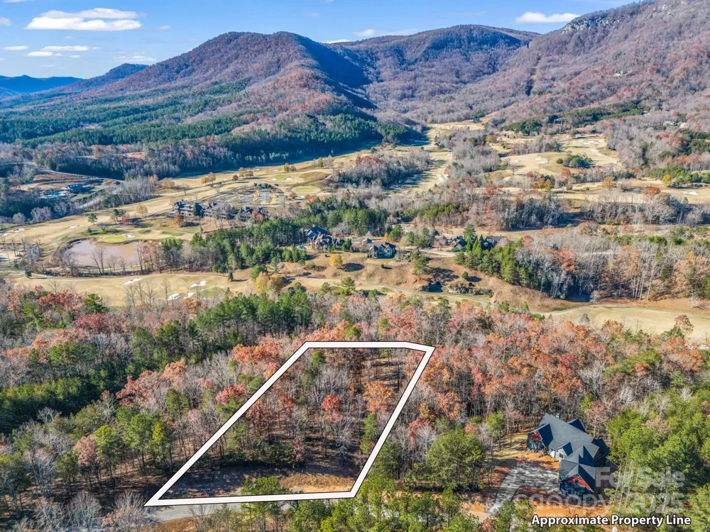 Lot 30 Deep Gap Farm Road E Mill Spring, NC 28756