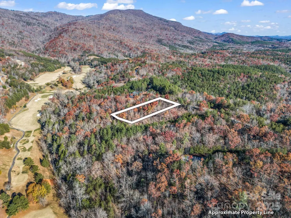 Lot 30 Deep Gap Farm Road E Mill Spring, NC 28756