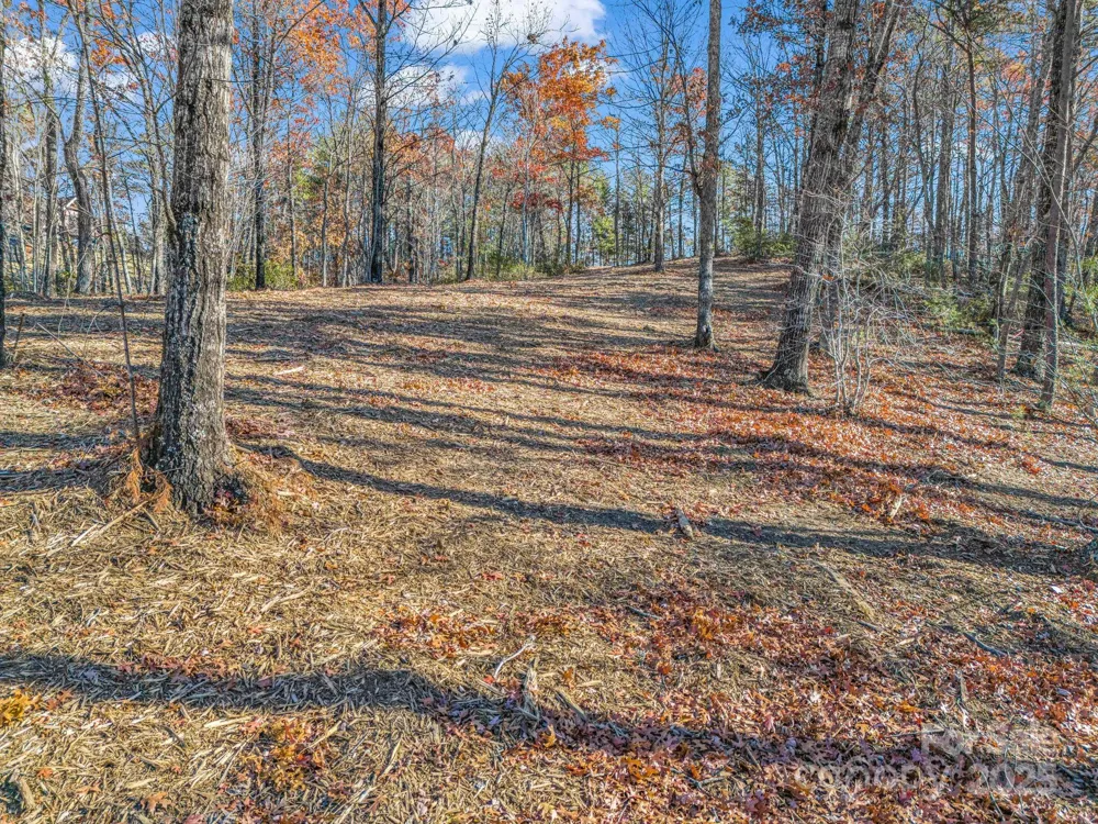 Lot 30 Deep Gap Farm Road E Mill Spring, NC 28756