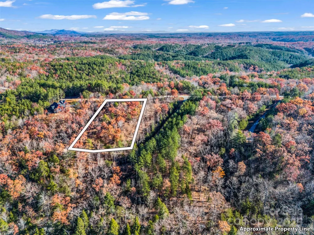 Lot 30 Deep Gap Farm Road E Mill Spring, NC 28756