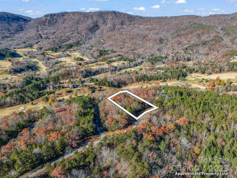 Lot 30 Deep Gap Farm Road E Mill Spring, NC 28756