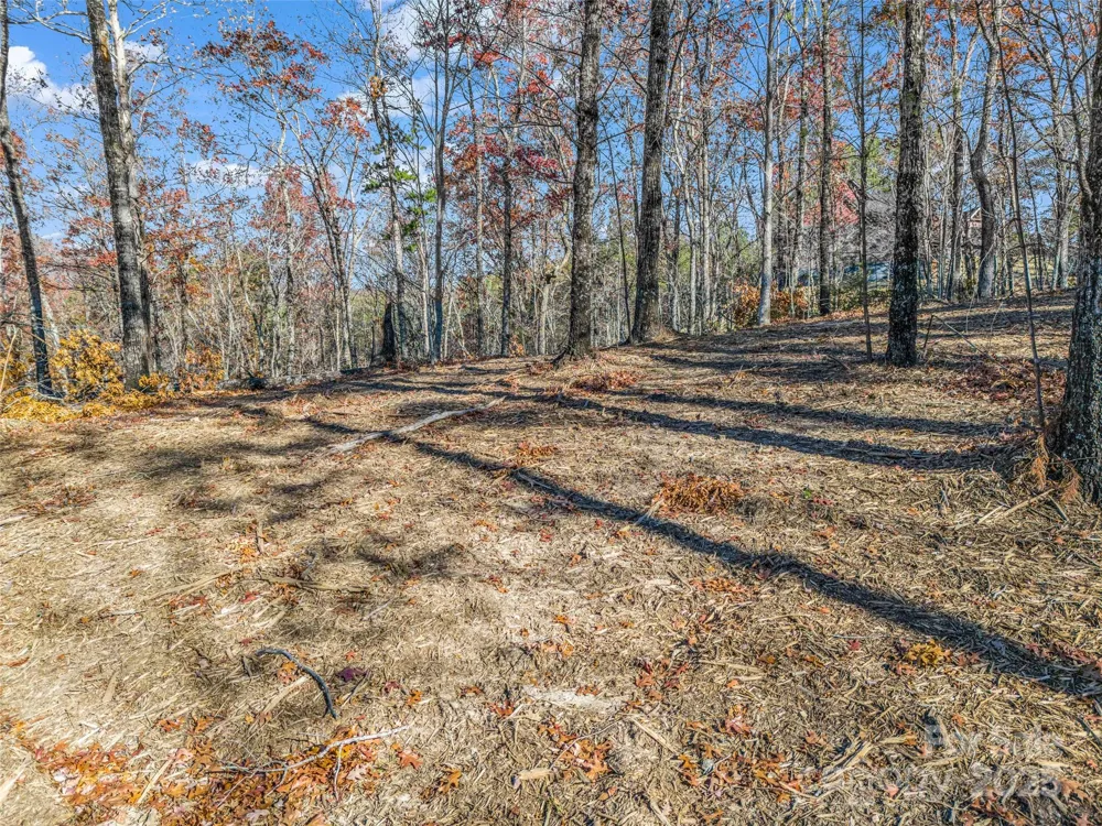 Lot 30 Deep Gap Farm Road E Mill Spring, NC 28756