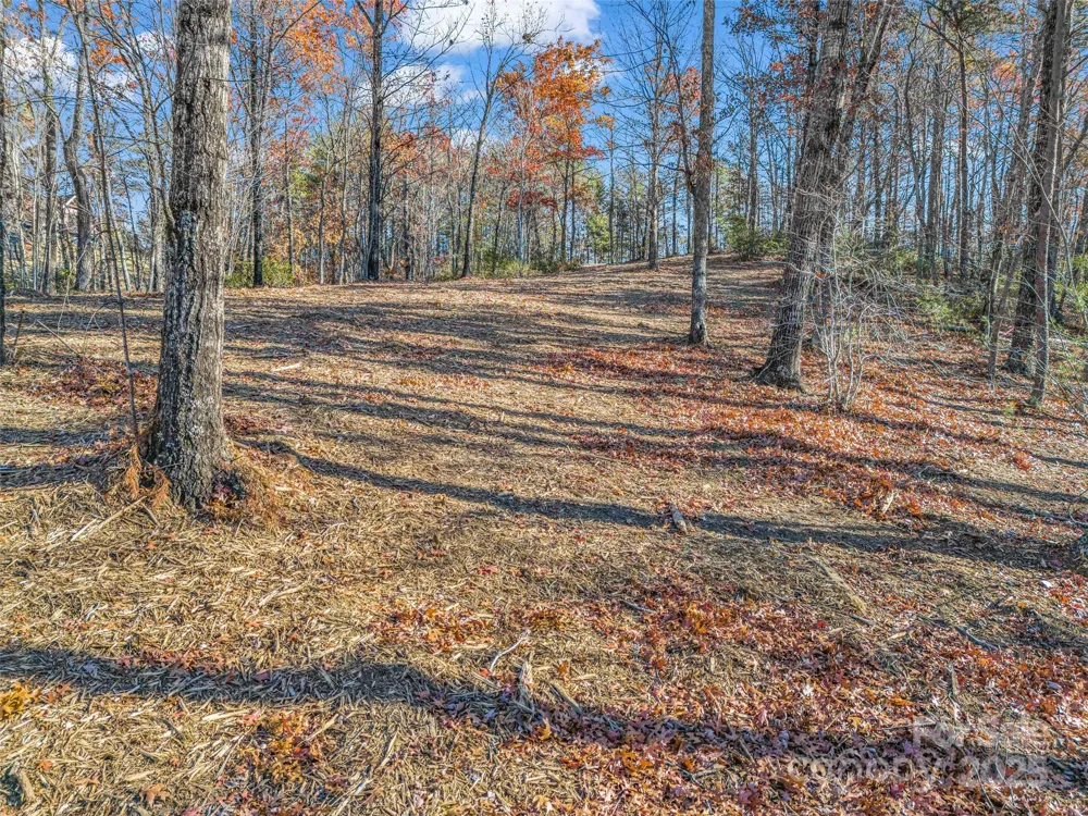 Lot 30 Deep Gap Farm Road E Mill Spring, NC 28756