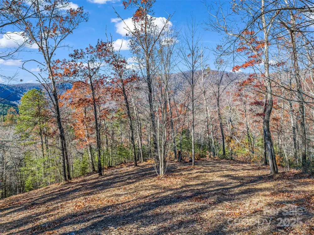 Lot 30 Deep Gap Farm Road E Mill Spring, NC 28756
