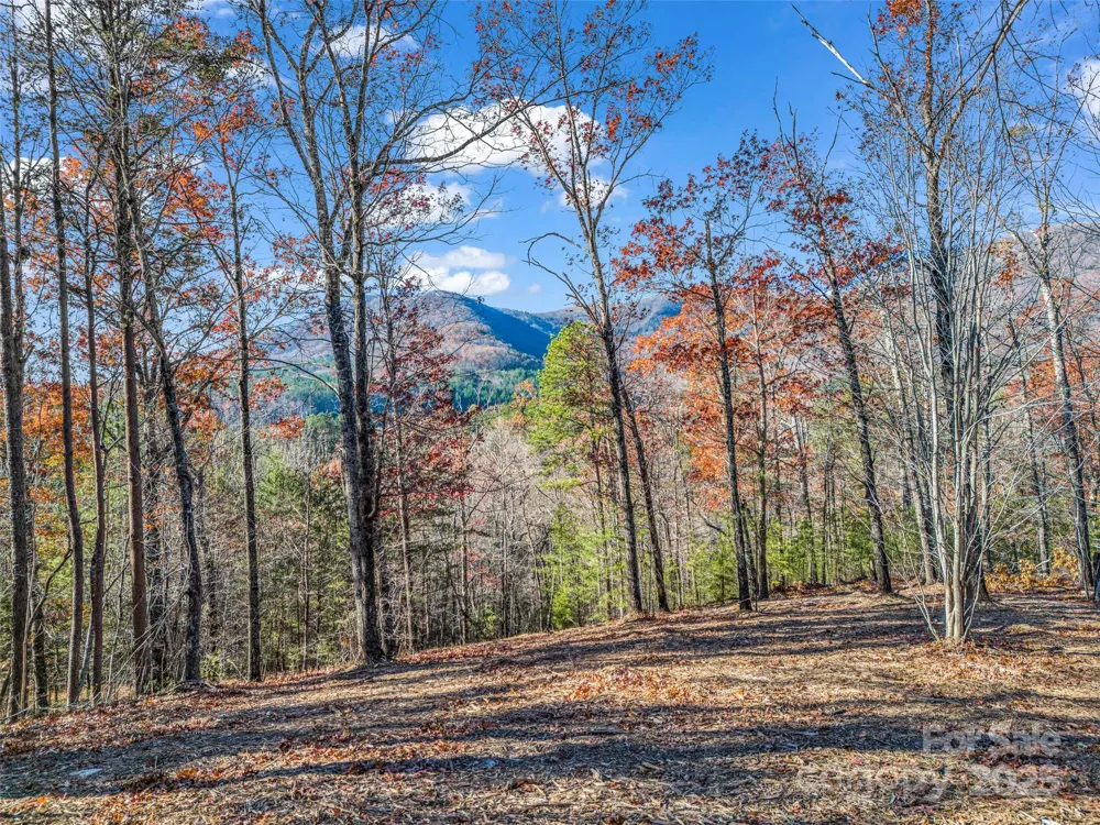 Lot 30 Deep Gap Farm Road E Mill Spring, NC 28756