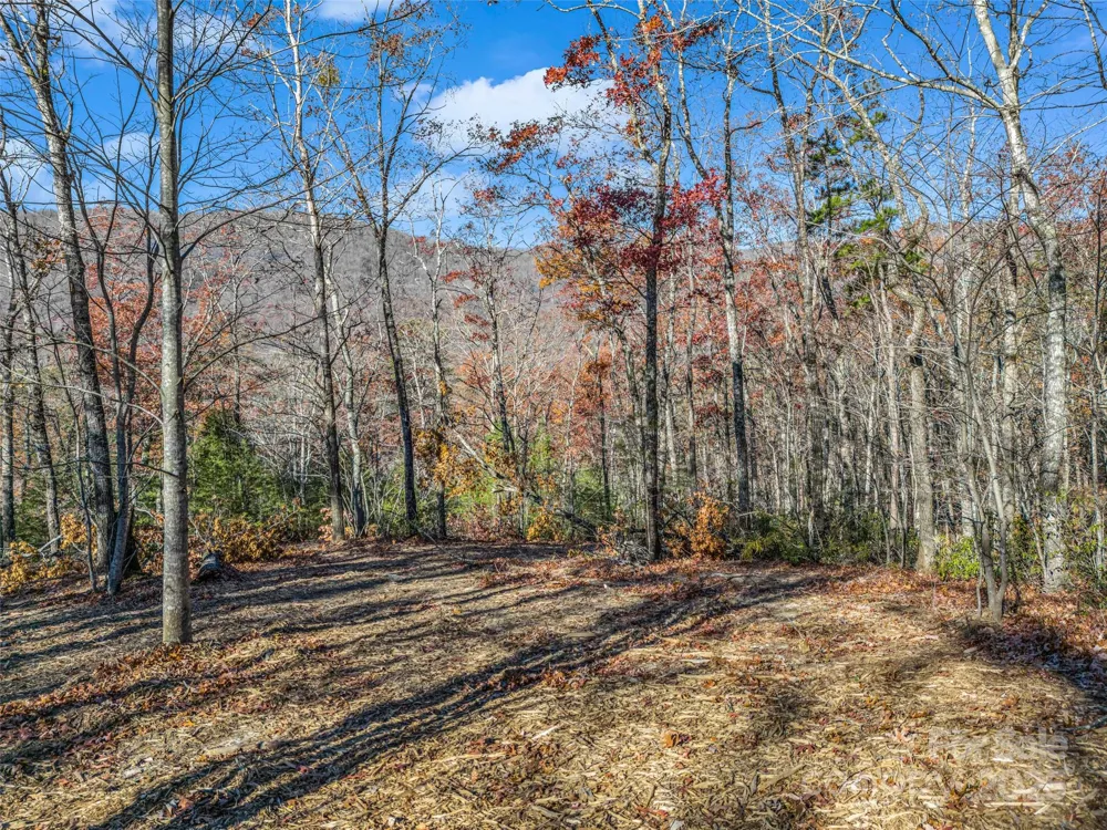 Lot 30 Deep Gap Farm Road E Mill Spring, NC 28756