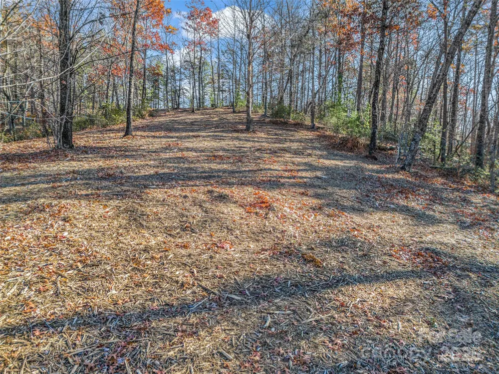 Lot 30 Deep Gap Farm Road E Mill Spring, NC 28756