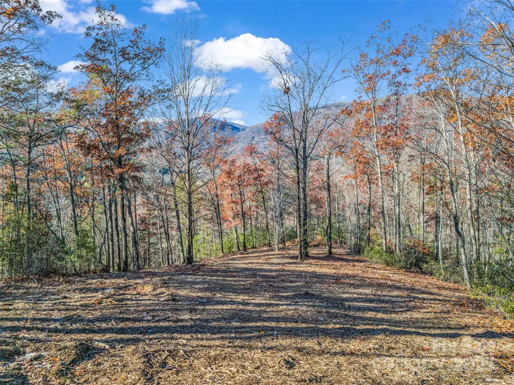 Lot 30 Deep Gap Farm Road E Mill Spring, NC 28756