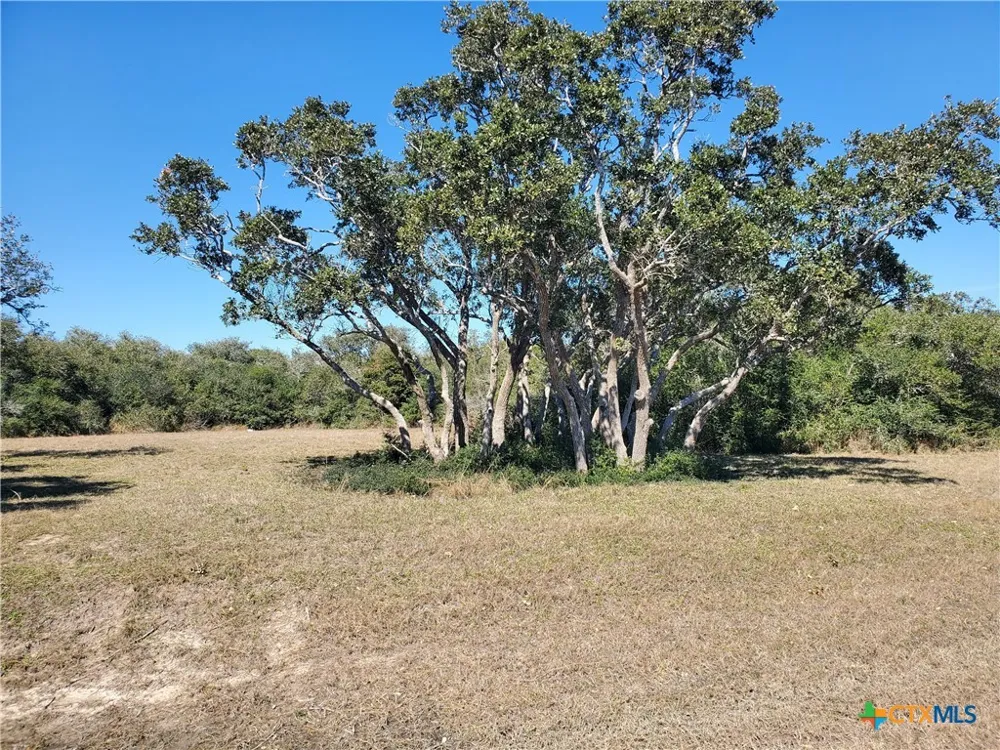 BAYSIDE DRIVE Seadrift, TX 77983
