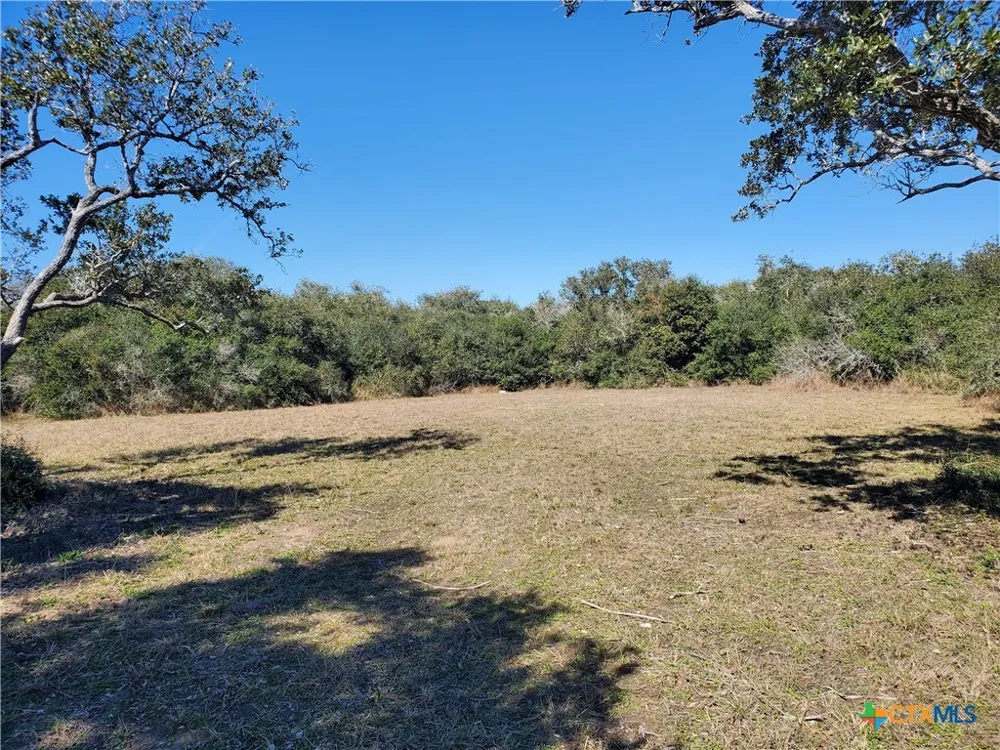 BAYSIDE DRIVE Seadrift, TX 77983