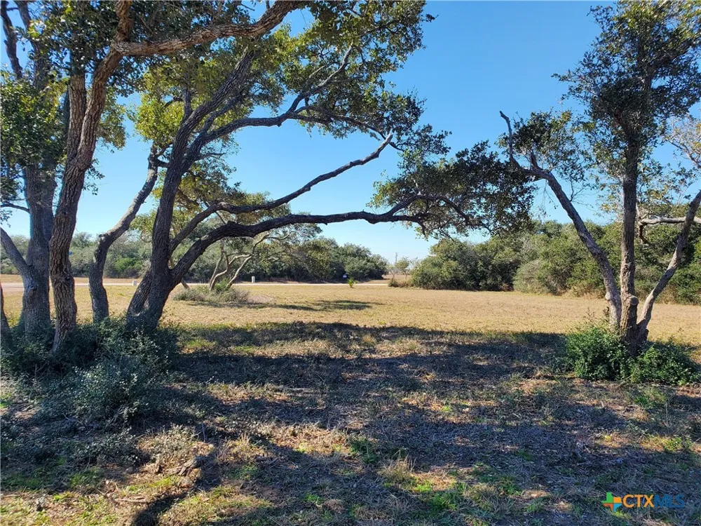 BAYSIDE DRIVE Seadrift, TX 77983