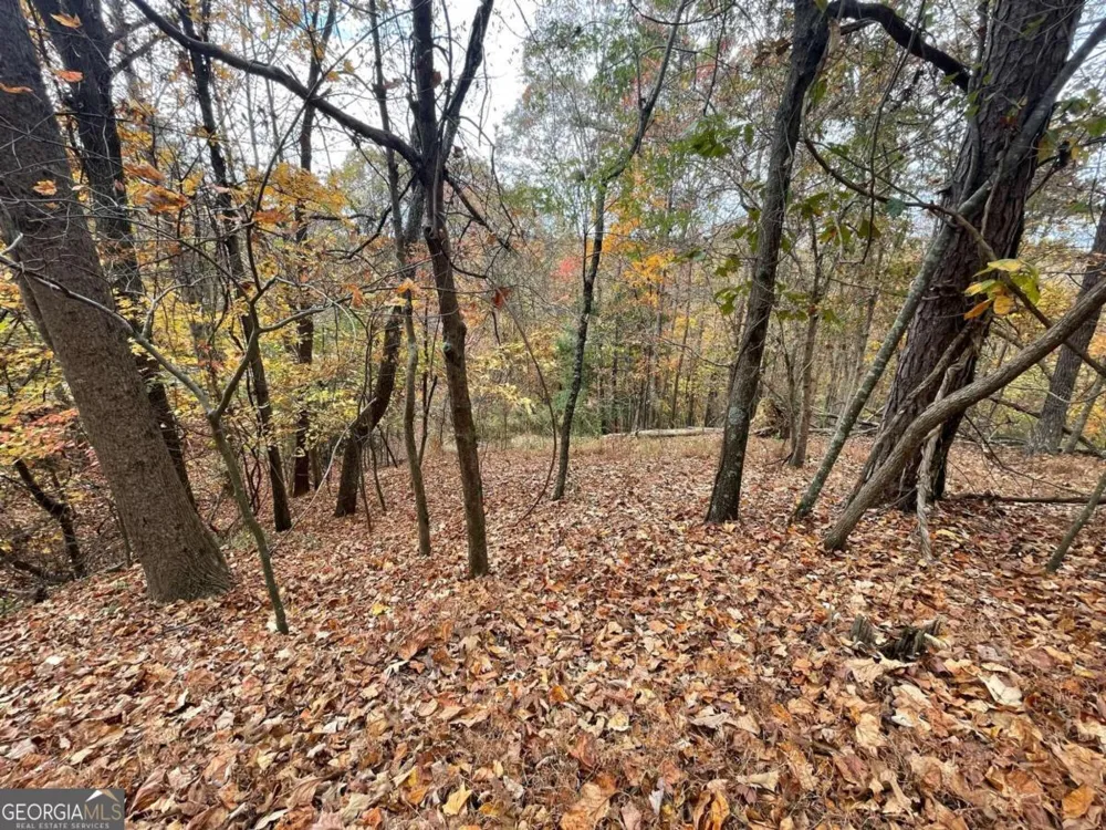 LOT 468 Cherokee CT Ellijay, GA 30540