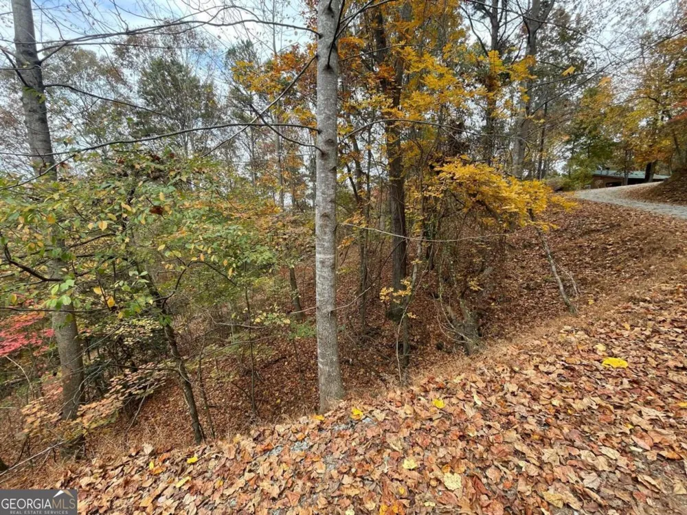 LOT 468 Cherokee CT Ellijay, GA 30540