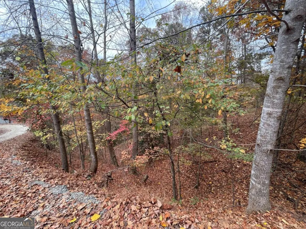 LOT 468 Cherokee CT Ellijay, GA 30540