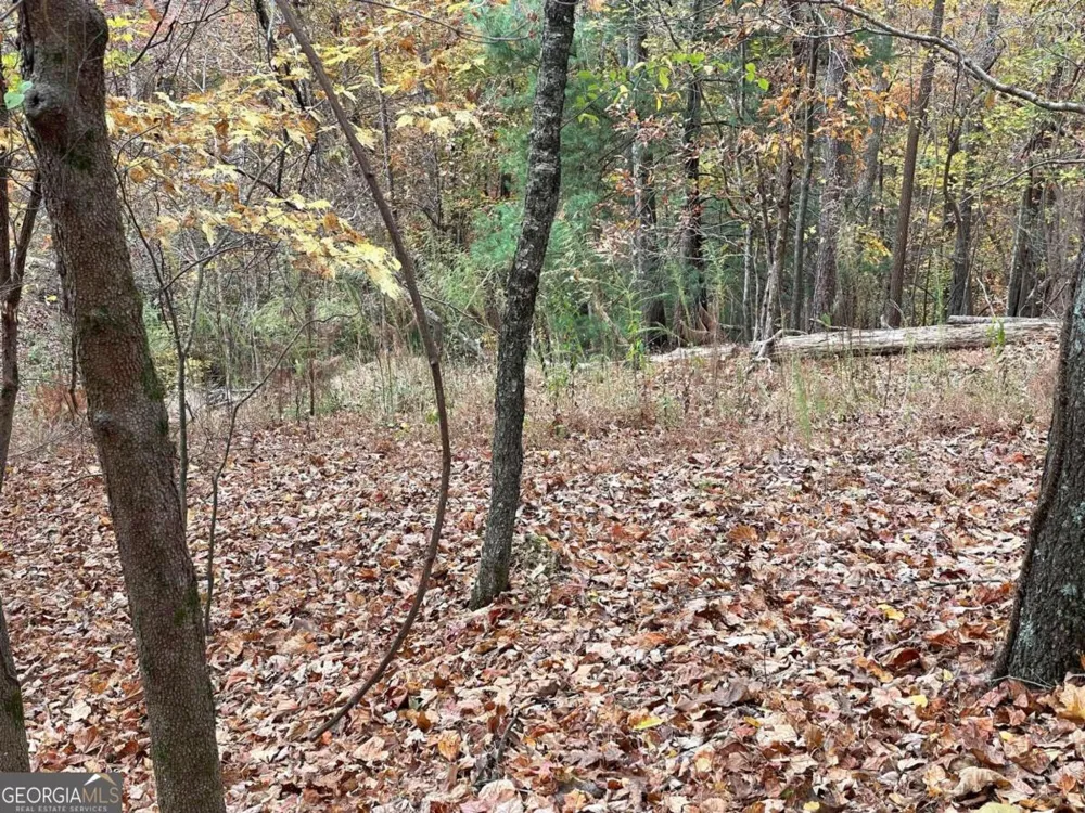 LOT 468 Cherokee CT Ellijay, GA 30540