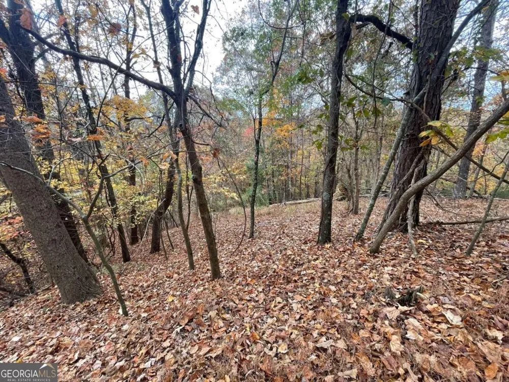 LOT 468 Cherokee CT Ellijay, GA 30540