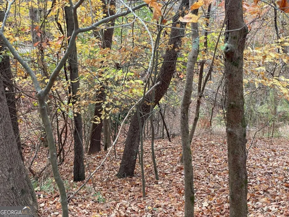 LOT 468 Cherokee CT Ellijay, GA 30540