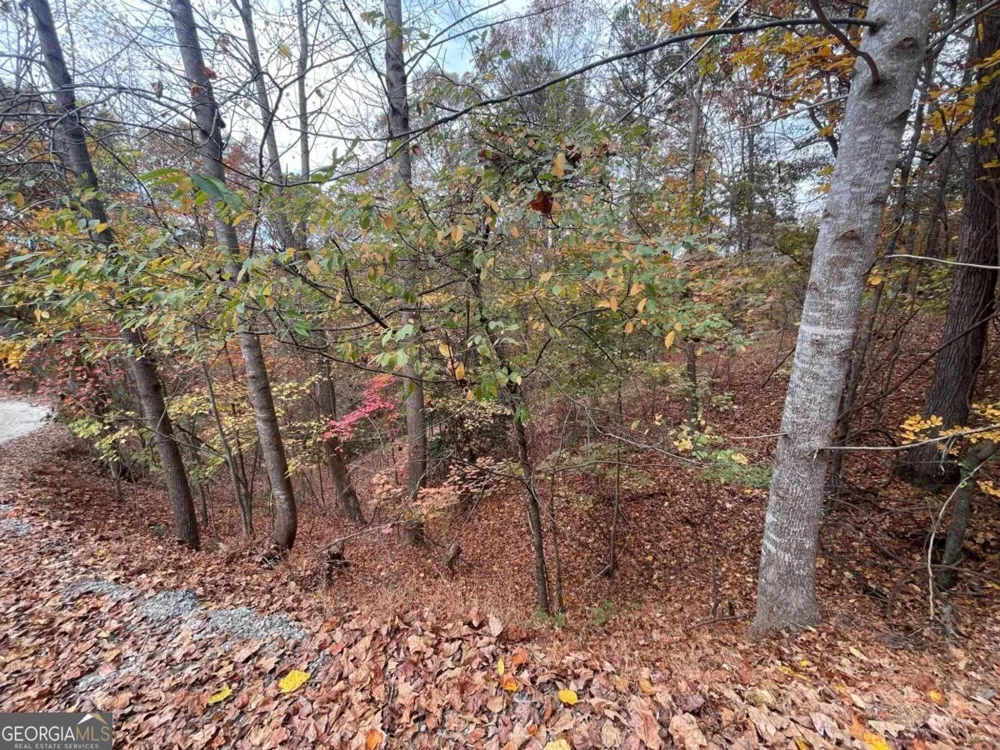LOT 468 Cherokee CT Ellijay, GA 30540
