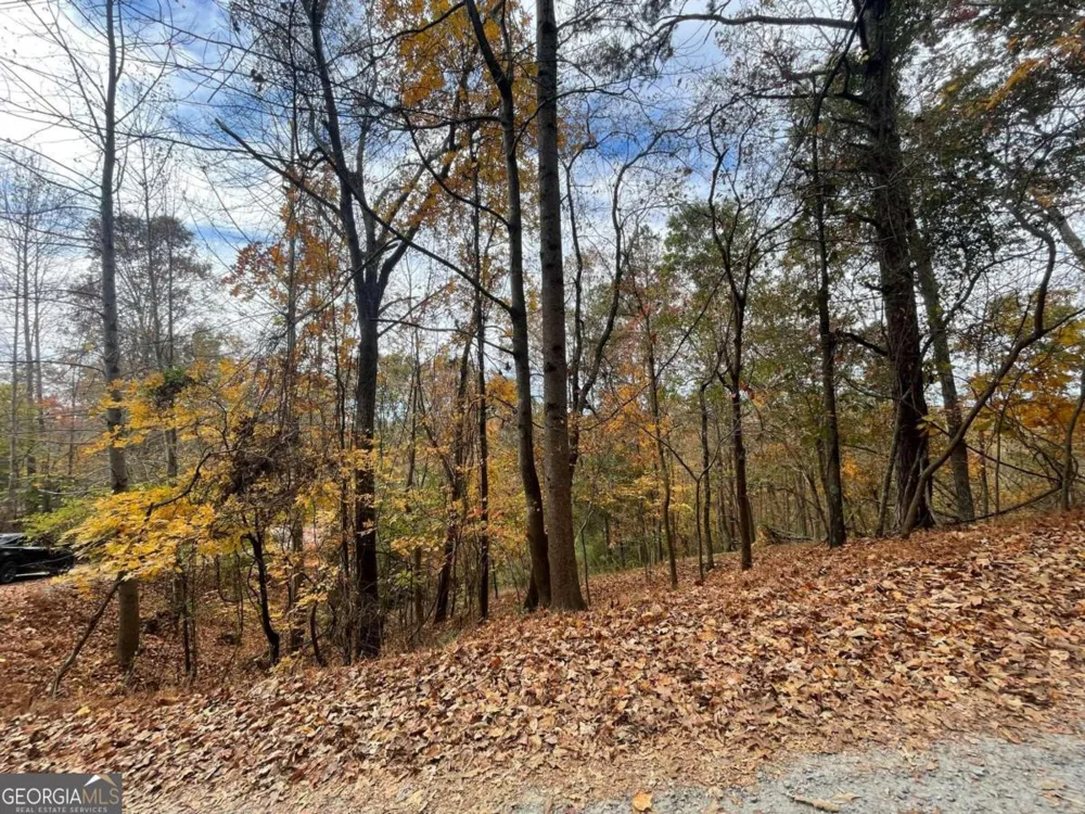 LOT 468 Cherokee CT Ellijay, GA 30540
