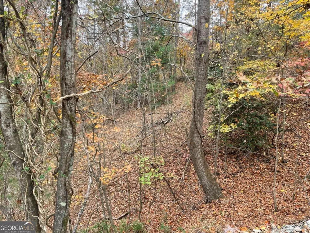 LOT 468 Cherokee CT Ellijay, GA 30540