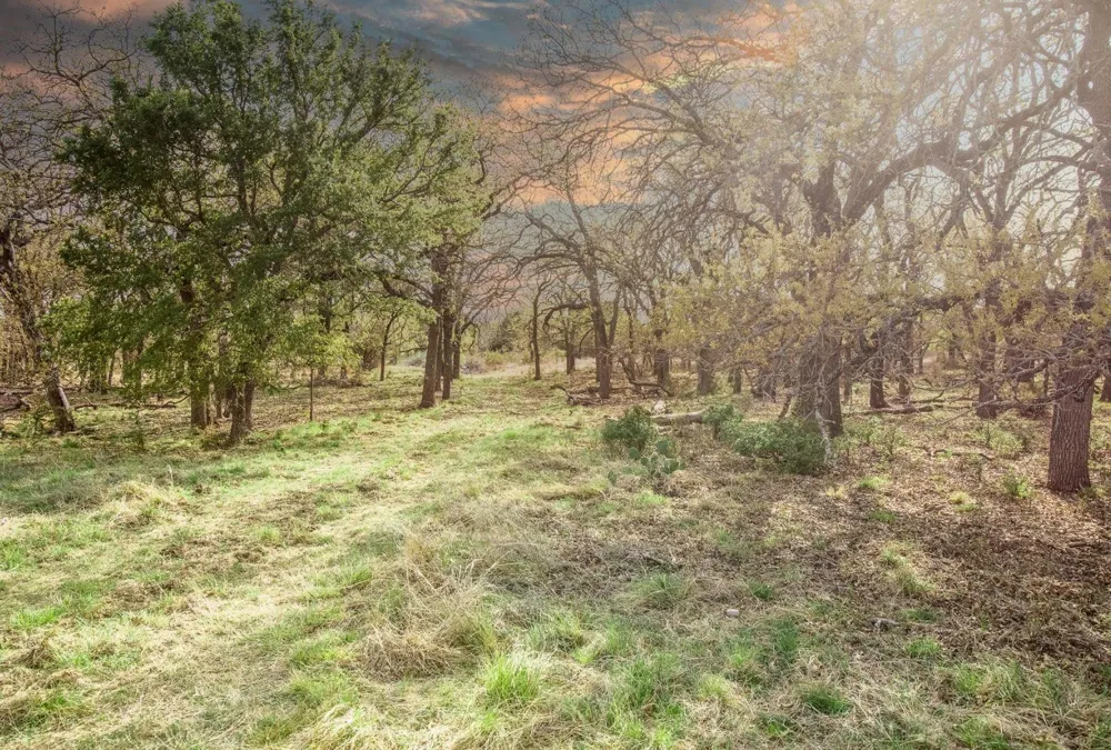 730 E Us Hwy 84 Goldthwaite, TX 76844