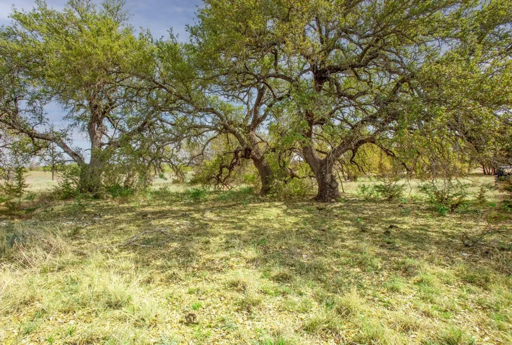 730 E Us Hwy 84 Goldthwaite, TX 76844
