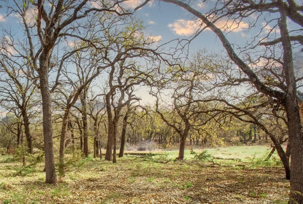 730 E Us Hwy 84 Goldthwaite, TX 76844
