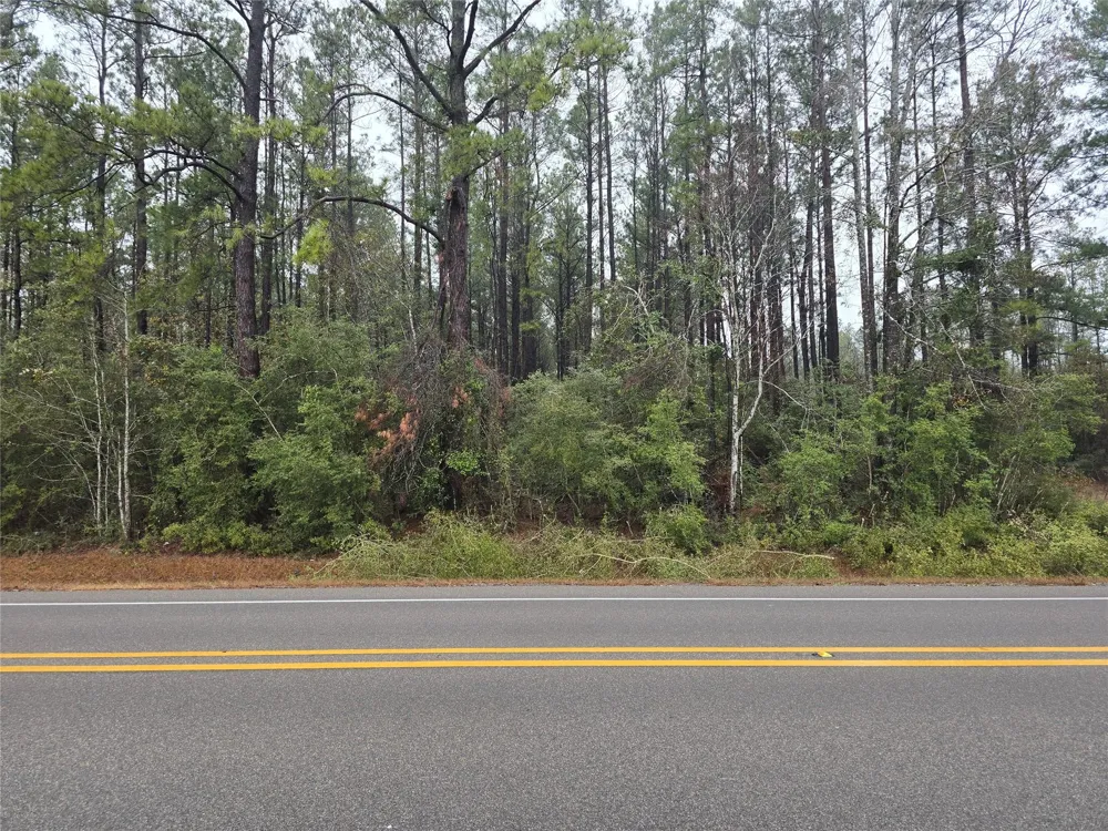 27141 Nichols Sawmill Road Magnolia, TX 77355