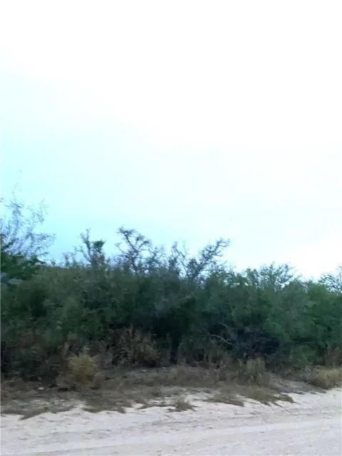 7039 CR 205--22.22 acres(+/-)