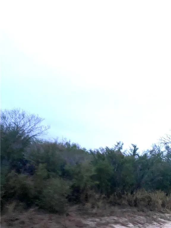7039 CR 205--22.22 acres(+/-) San Diego, TX 78384