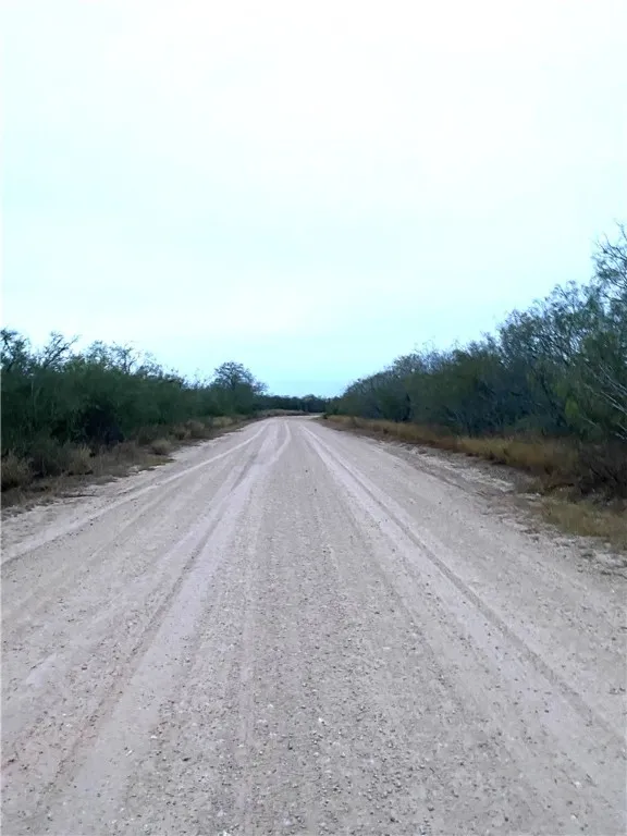 7039 CR 205--22.22 acres(+/-) San Diego, TX 78384