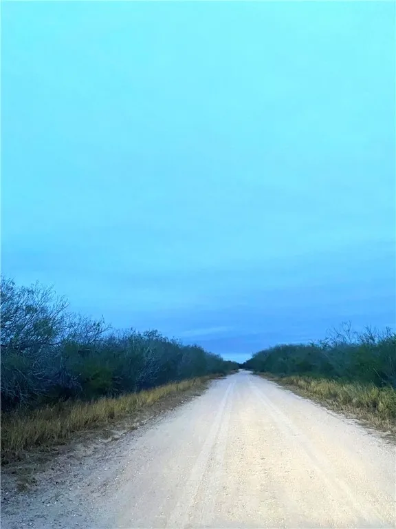 7039 CR 205--22.22 acres(+/-) San Diego, TX 78384
