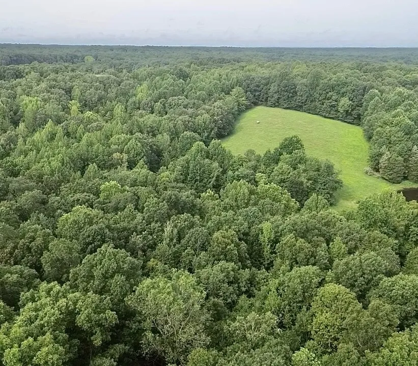 5128 Louise Rd Cumberland Furnace, TN 37051