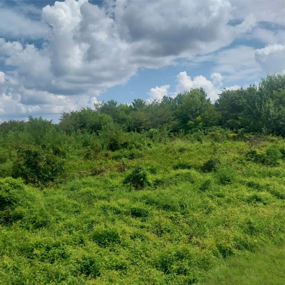 1085 Deen Point Road Benton, LA 71006