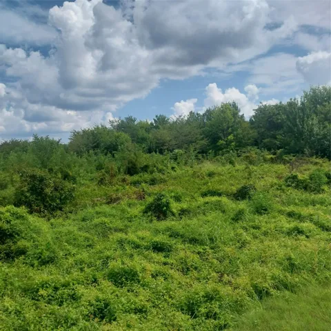 1085 Deen Point Road