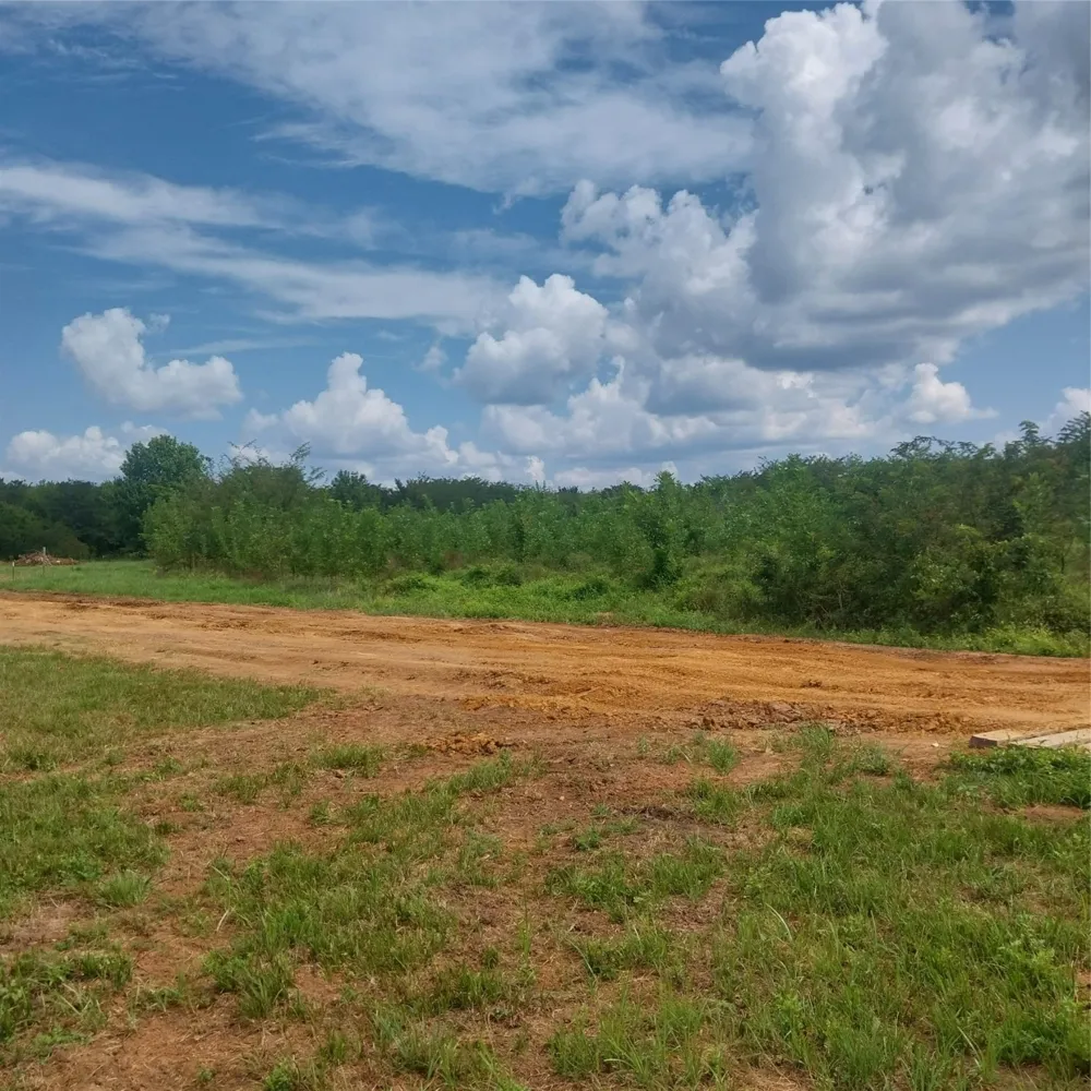 1085 Deen Point Road Benton, LA 71006