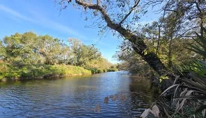 Bayou Road