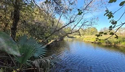 Bayou Road Danbury, TX 77534
