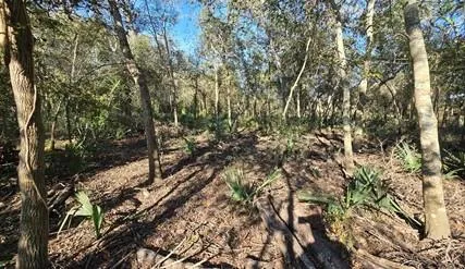 Bayou Road Danbury, TX 77534