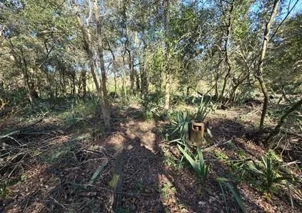 Bayou Road Danbury, TX 77534