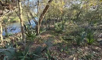 Bayou Road Danbury, TX 77534