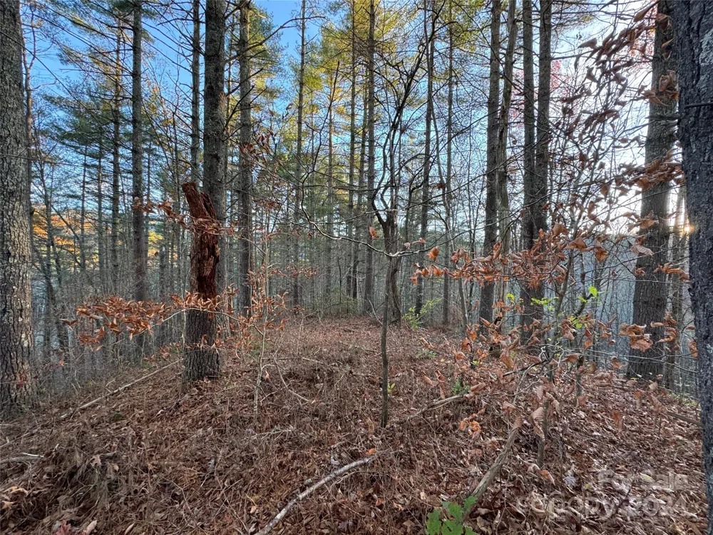00 Sky Ridge Drive Bryson City, NC 28713