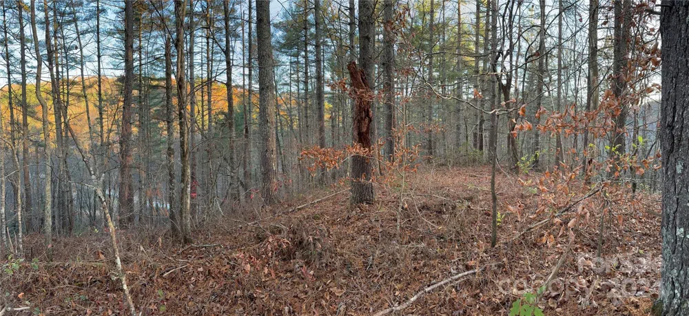 00 Sky Ridge Drive Bryson City, NC 28713