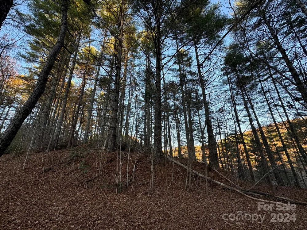 00 Sky Ridge Drive Bryson City, NC 28713