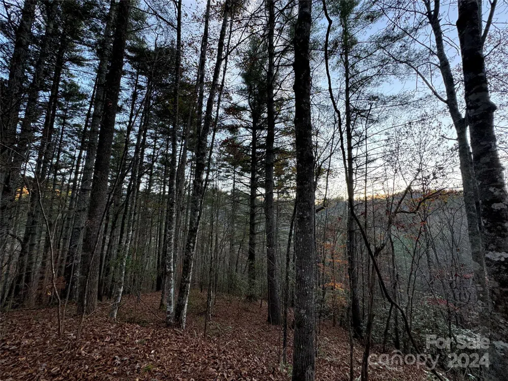 00 Sky Ridge Drive Bryson City, NC 28713