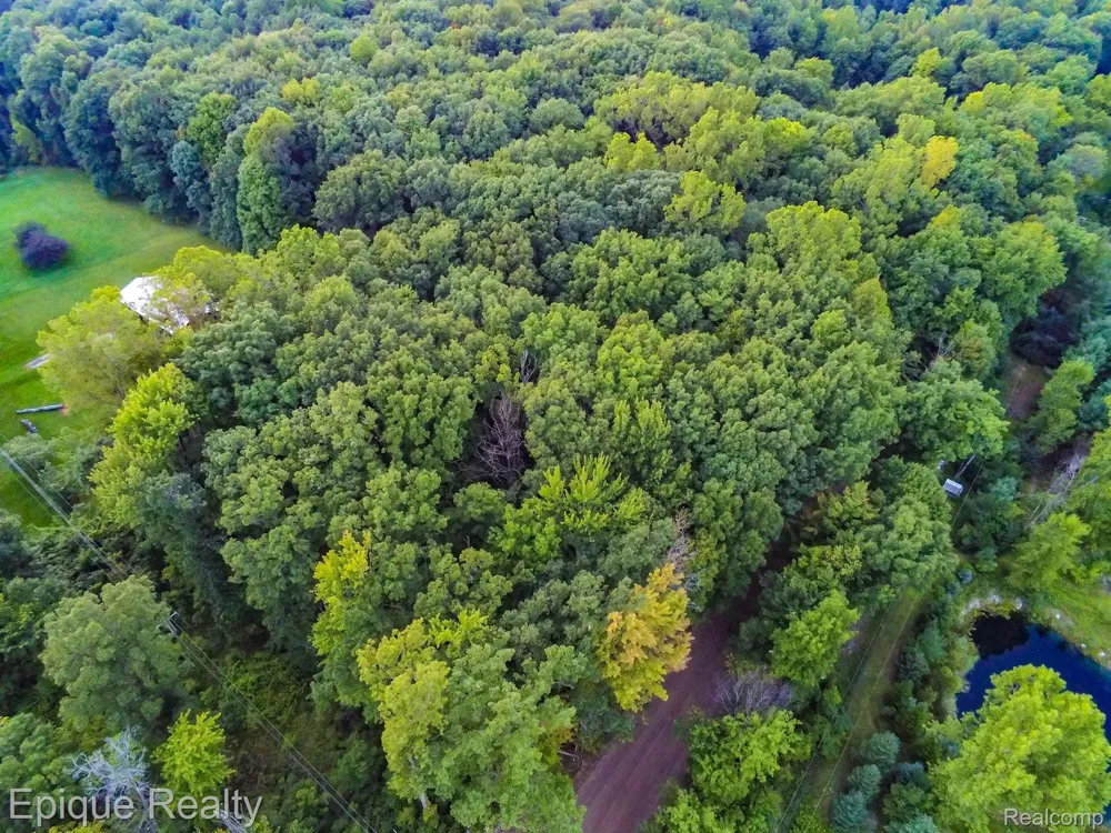 Hagerman Addison Township, MI 48367
