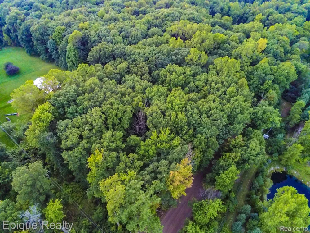 Hagerman Road Addison Township, MI 48367