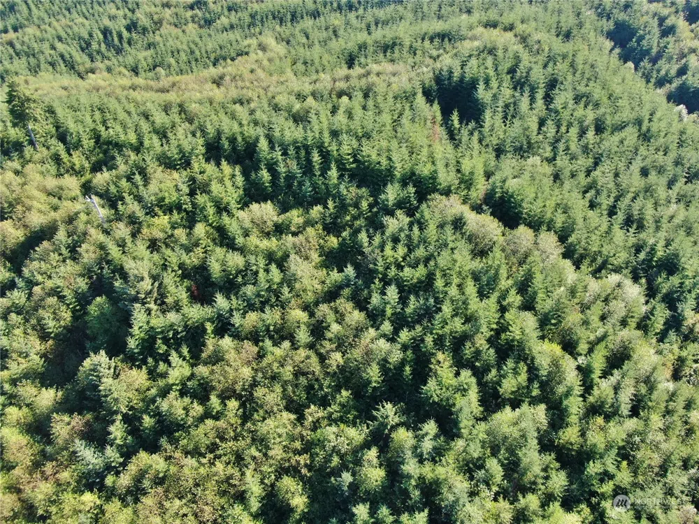 0 Off of Butte Creek Road Raymond, WA 98577