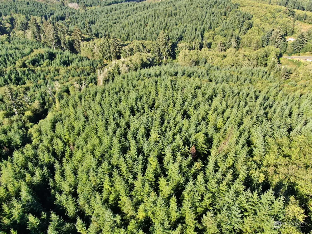 0 Off of Butte Creek Road Raymond, WA 98577